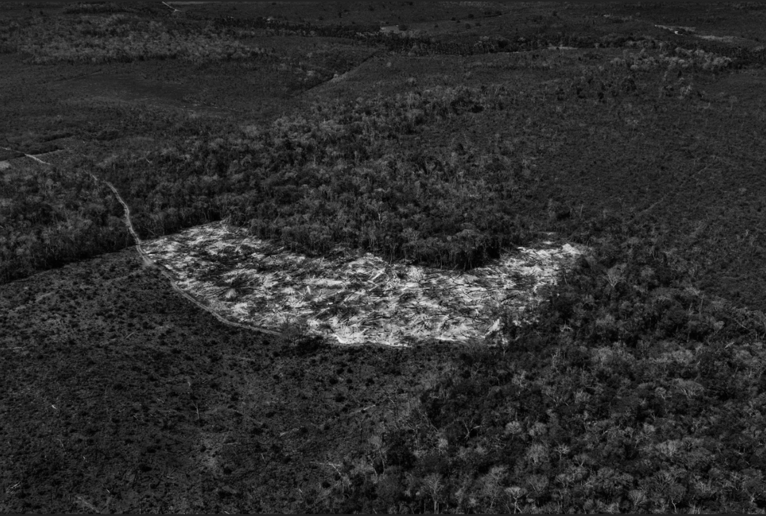 août 2019, un feu faisait rage dans la forêt près de Porto Velho